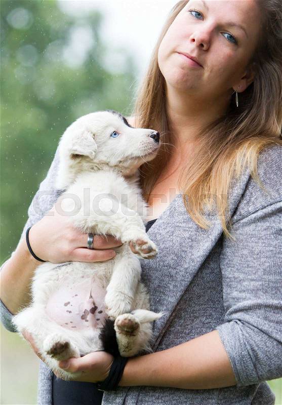 Small Border Collie puppy with blue eye in the arms of a woman, rain background, stock photo