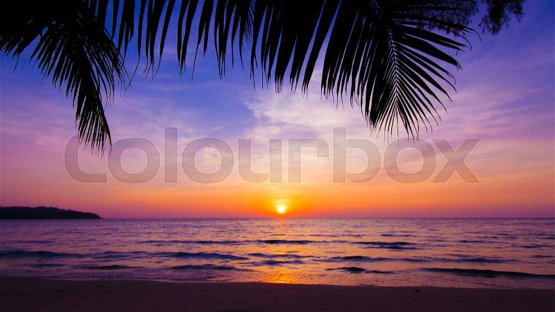 Sunset landscape. beach sunset. palm trees silhouette on sunset tropical beach, stock photo
