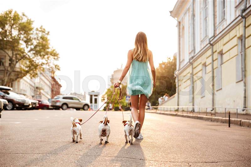 Back view of a young woman walking her dogs on the city streets, stock photo