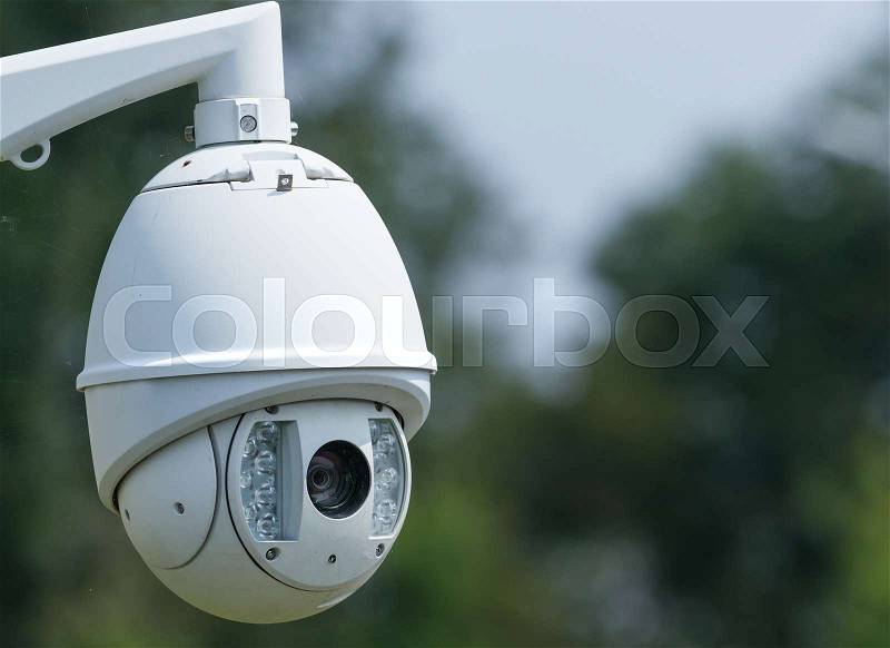 Outdoor surveillance video camera on a background of trees, stock photo