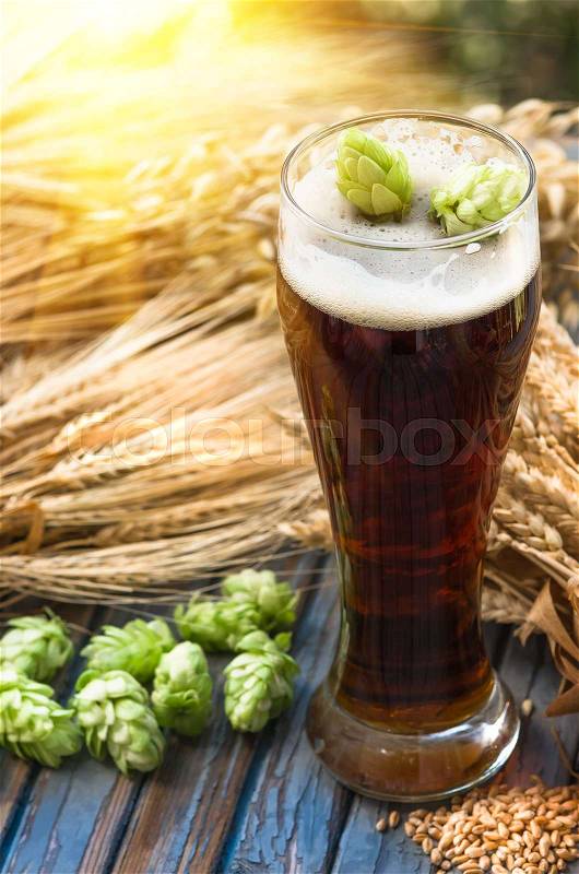 Large glass of dark beer, malt, hops, barley ears standing on an old wooden table dyeing, natural background, stock photo