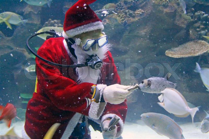 Santa Clause feeding fishes at aquarium. (note: image is slightly grainy due to low light condition.), stock photo