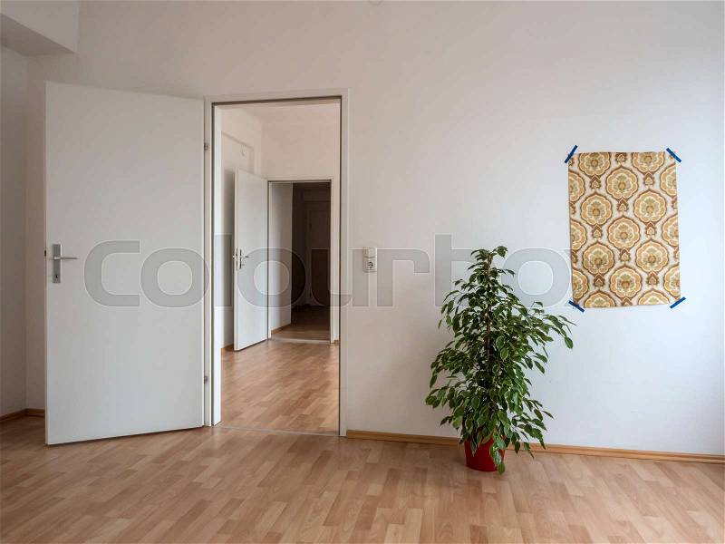 New apartment has been embellished with a piece of wallpaper and a flower stock. symbol photo for relocation, relocation. no money for furniture because of high rents, stock photo