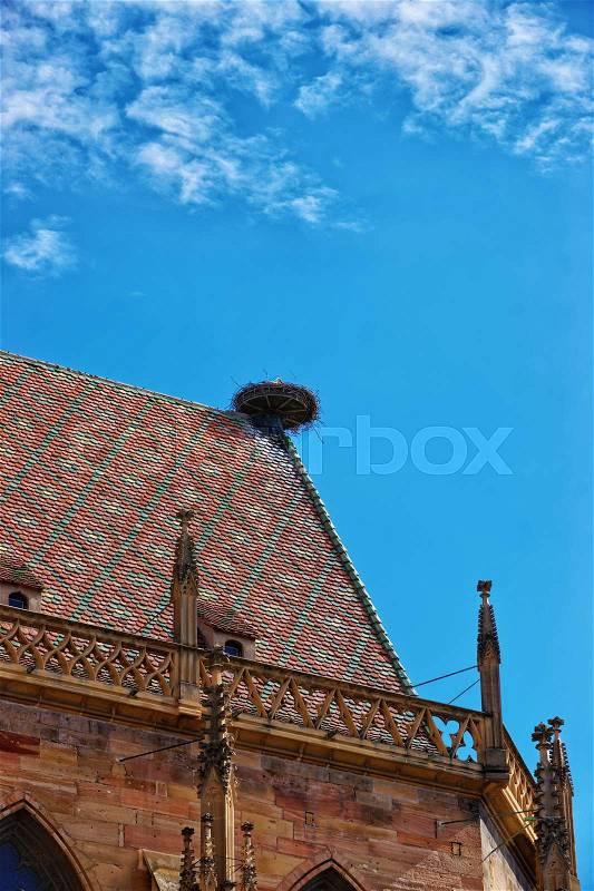 Bird nest on the roof of St Martin Church in Colmar, Haut Rhin in Alsace, France, stock photo