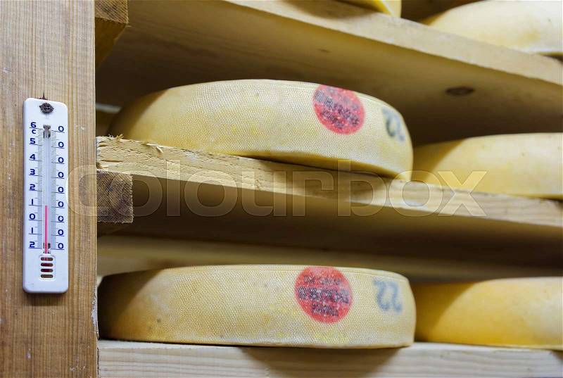 Shelves of aging Cheese in maturing cellar in Franche Comte dairy in France, stock photo