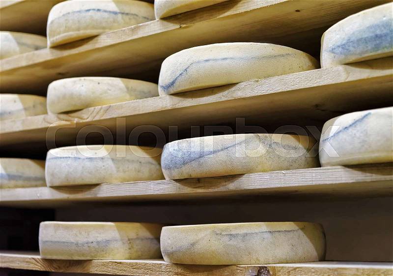 Shelves of aging Cheese on wooden shelves at maturing cellar of Franche Comte dairy, in France, stock photo