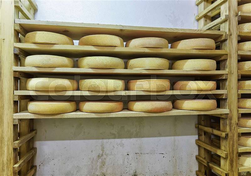 Stack of aging Cheese on wooden shelves at maturing cellar of Franche Comte dairy in France, stock photo