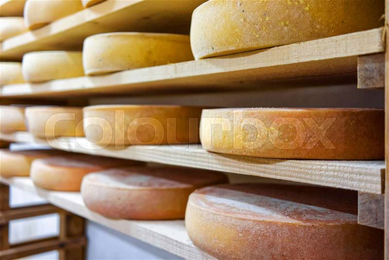 Row of aging Cheese on wooden shelves in maturing cellar of Franche Comte dairy in France, stock photo