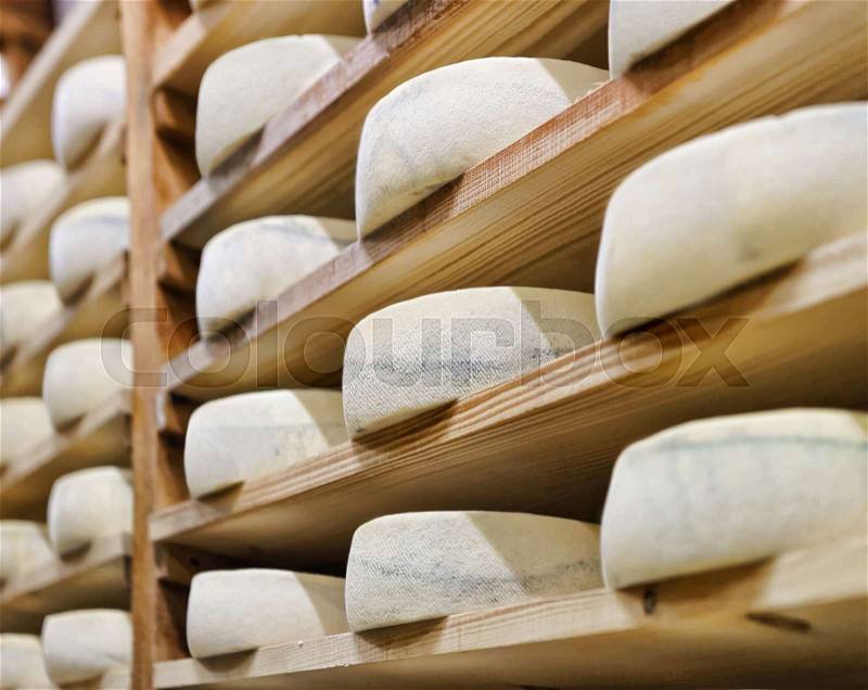 Wheels of aging Cheese on wooden shelves at ripening cellar of Franche Comte dairy in France, stock photo