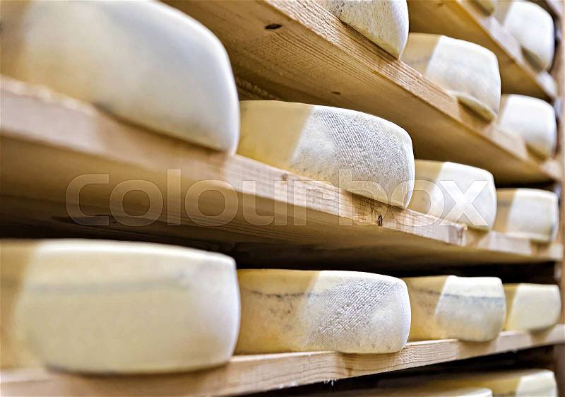 Aging Cheese on wooden shelves at maturing cellar in Franche Comte creamery in France, stock photo
