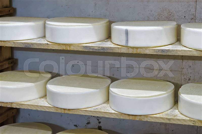 Shelves of young Comte Cheese on wooden shelves at ripening cellar of Franche Comte dairy, in France, stock photo