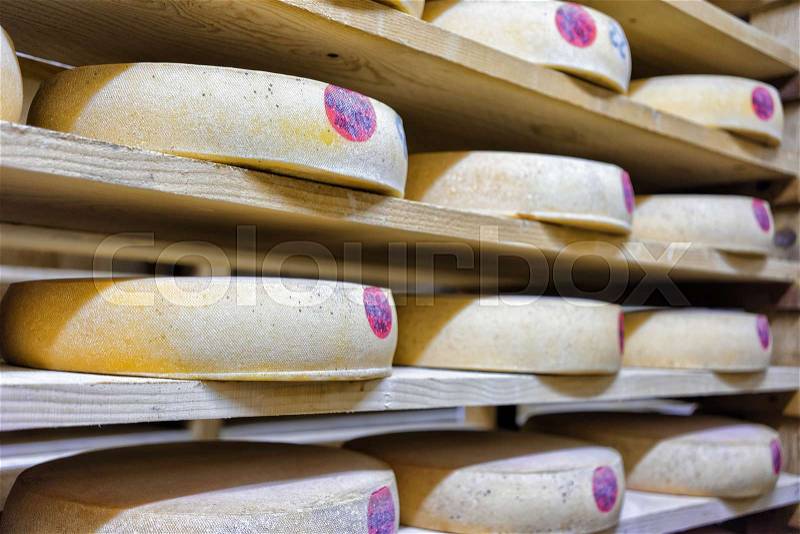 Pile of aging Cheese on wooden shelves in ripening cellar of Franche Comte dairy in France, stock photo
