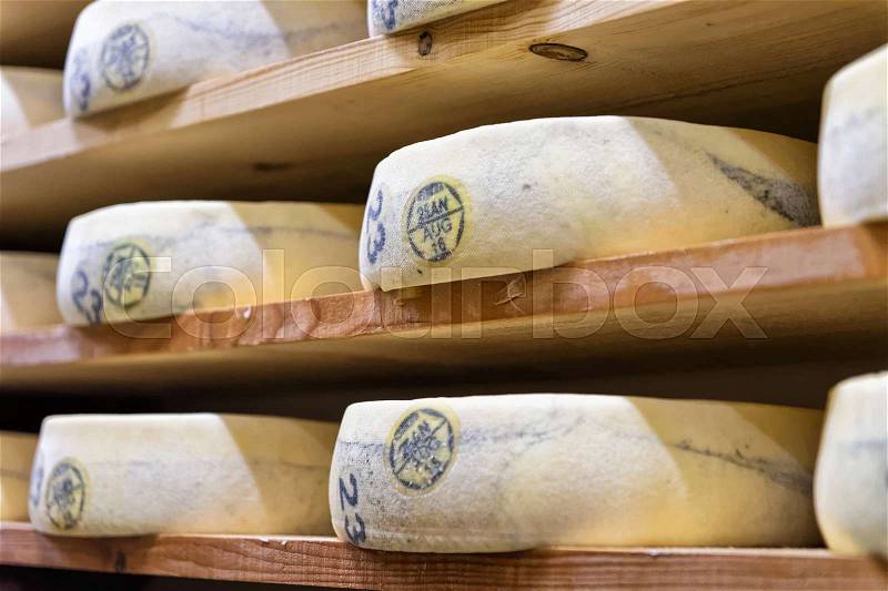 Stack of aging Cheese on wooden shelves in maturing cellar of Franche Comte creamery in France, stock photo