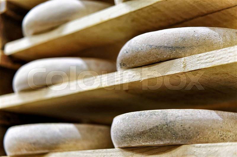 Aging Gruyere de Comte Cheese on wooden shelves at maturing cellar of Franche Comte dairy in France, stock photo