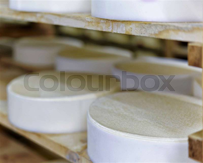 Shelf of young Gruyere de Comte Cheese in ripening cellar in Franche Comte dairy, France, stock photo