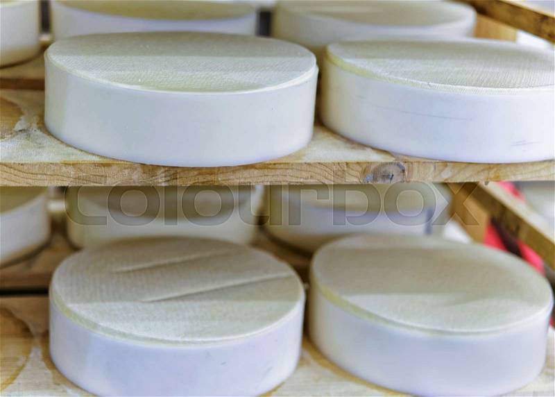 Shelf of young Gruyere de Comte Cheese in maturing cellar of Franche Comte dairy in France, stock photo