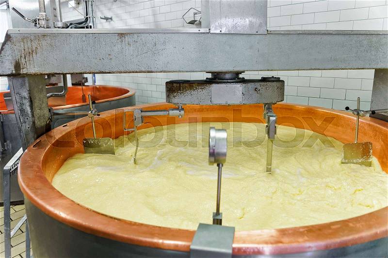 Processing of Gruyere de Comte Cheese in the dairy in Franche Comte, Burgundy, of France, stock photo