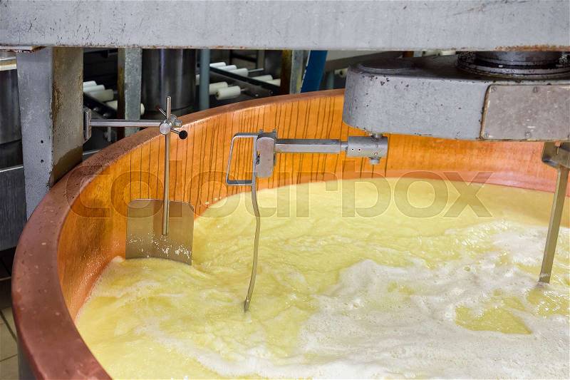 Gruyere de Comte Cheese Processing at the dairy in Franche Comte, Burgundy, in France, stock photo