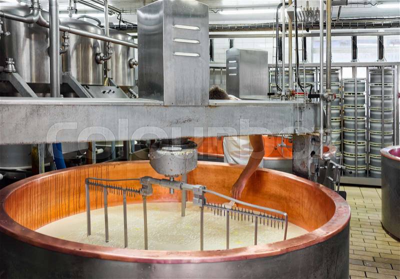 Production of Gruyere de Comte Cheese at the French dairy in Franche Comte, Burgundy, in France, stock photo