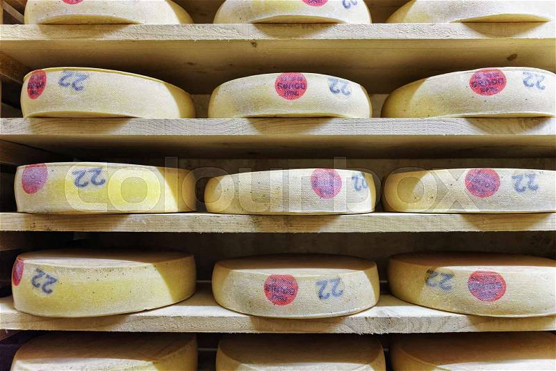 Rack of aging Gruyere de Comte Cheese on wooden shelves in maturing cellar in Franche Comte dairy, France, stock photo