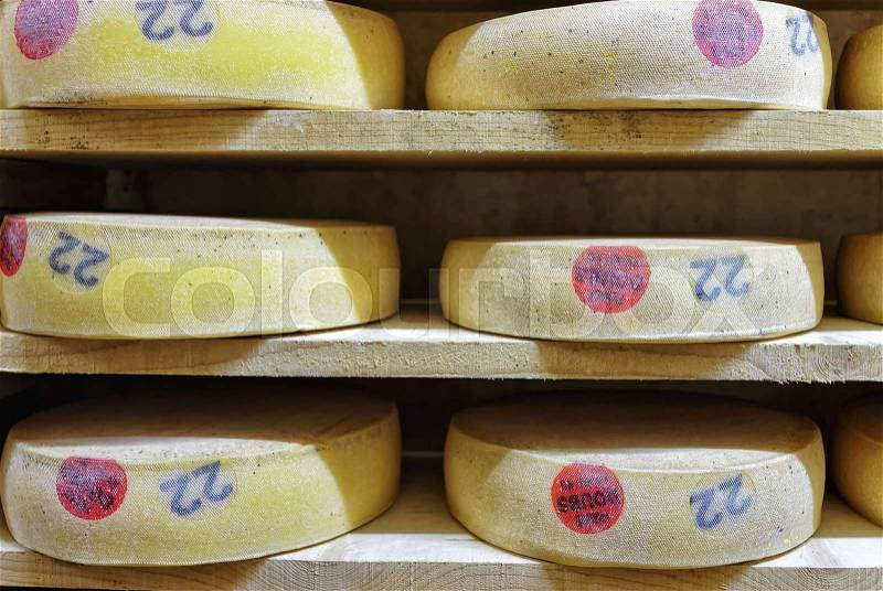 Rack of aging Gruyere de Comte Cheese on wooden shelves in ripening cellar in Franche Comte dairy, France, stock photo