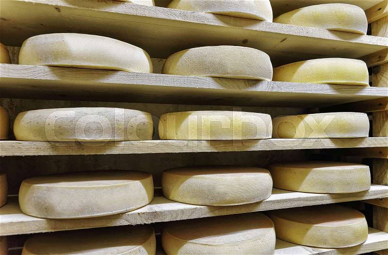 Aging Gruyere de Comte Cheese on wooden shelves at ripening cellar in Franche Comte dairy, France, stock photo
