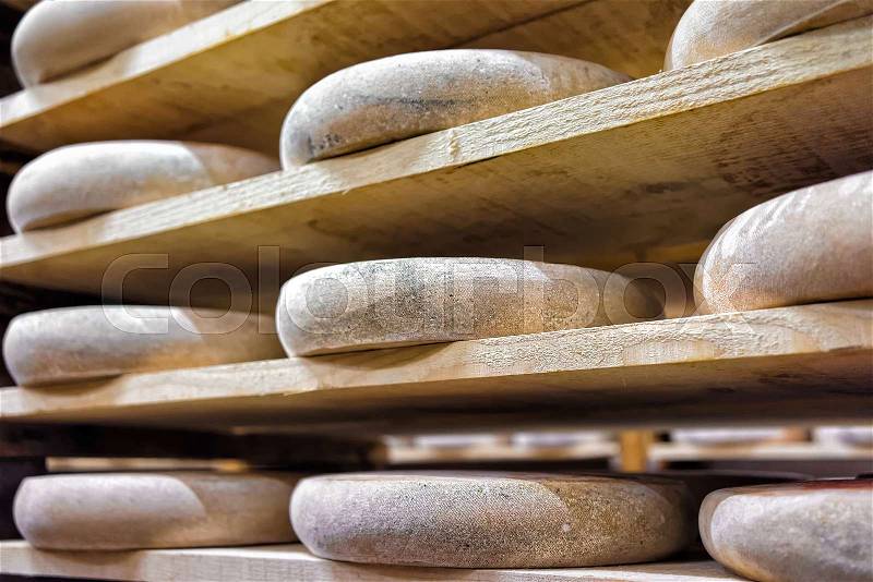 Rows of aging Cheese on wooden shelves at maturing cellar of Franche Comte dairy in France, stock photo