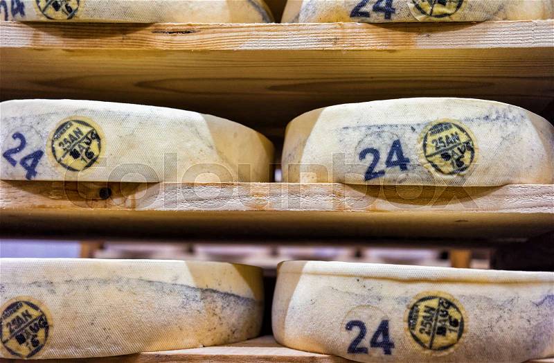 Rows of aging Cheese on wooden shelves at maturing cellar of Franche Comte creamery in France, stock photo