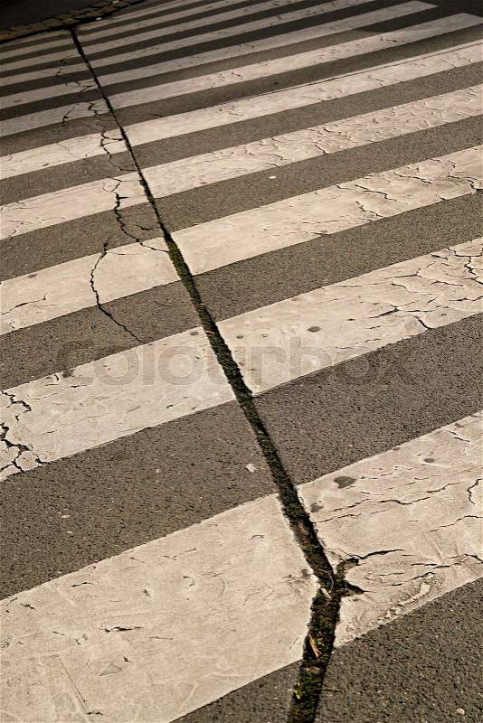 Zebra crossing in the city center of Prague, stock photo