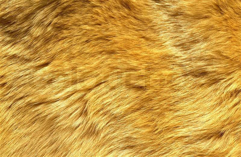 Close-up of ginger cat fur for texture or background, stock photo