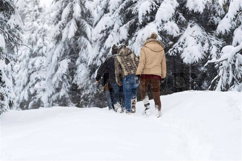 Friends Group Snow Forest Young People Walking Outdoor Winter Pine Woods, stock photo