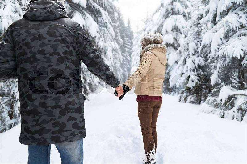 Young Couple Walking In Snow Forest Outdoor Man And Woman Holding Hands Back View Winter Pine Woods, stock photo