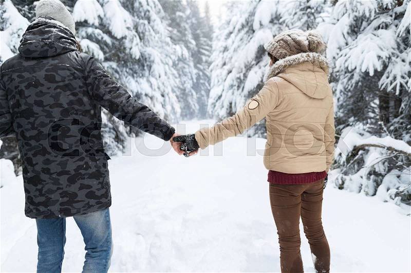 Young Couple Walking In Snow Forest Outdoor Man And Woman Holding Hands Back View Winter Pine Woods, stock photo