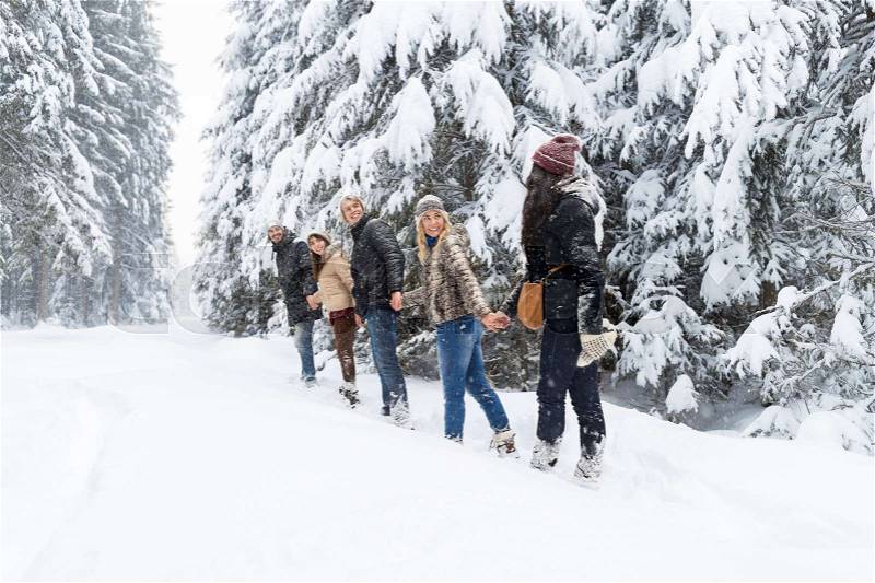 Friends Group Snow Forest Young People Walking Outdoor Winter Pine Woods, stock photo