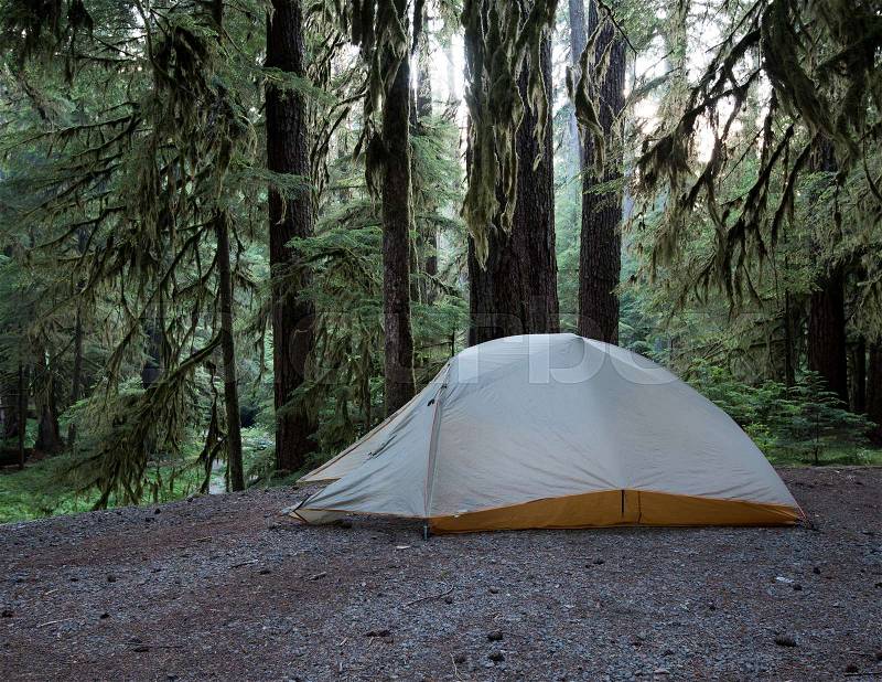 A Tent in the Rain Forest, stock photo