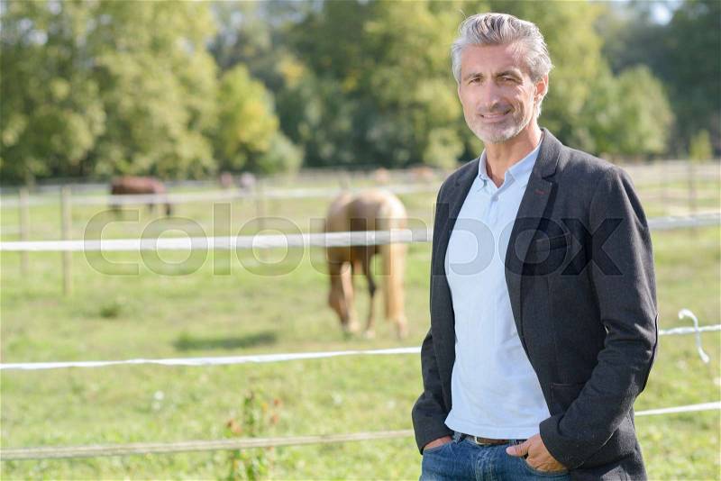 Man with horses, stock photo