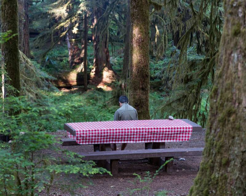 Boy Sitting on a Picnic Table in Olympic National park, stock photo
