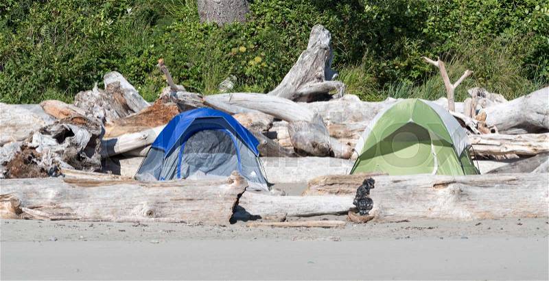 Tents Pitched at Second Beach, stock photo
