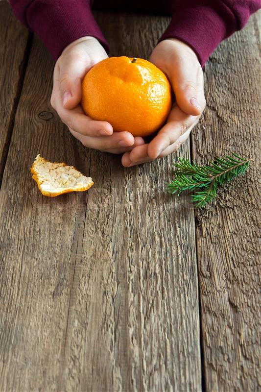 Tangerine and fir branches in children hands close up over rustic wooden background - smell of Christmas time and winter holidays at home concept, stock photo