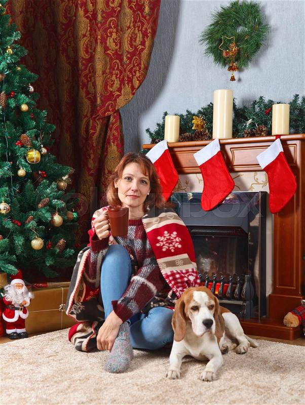 Woman with beagle in the room with Christmas decorations, stock photo