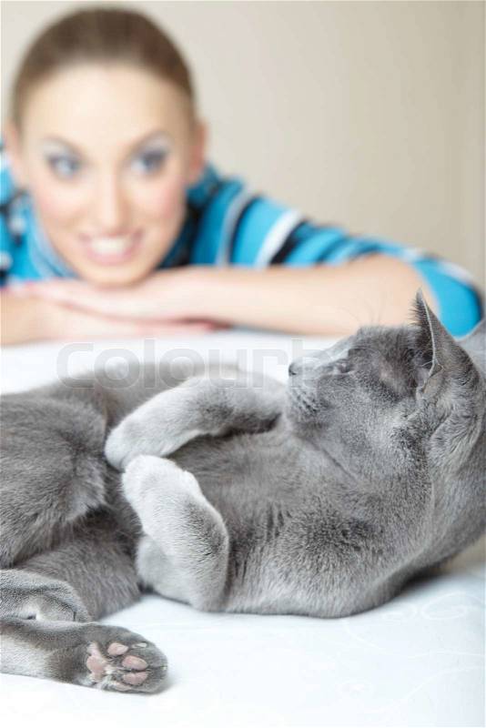 Cat pampering indoors and smiling woman Shallow depth of field, stock photo