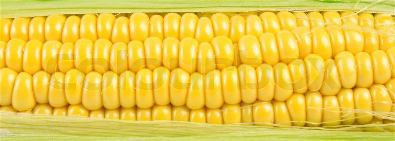 Texture of a ripe yellow corn with leaves, stock photo