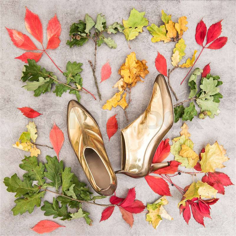 Fashion flat lay. Autumn leaves and golden shoes. Background for feminine website, bloggers, social media, stock photo
