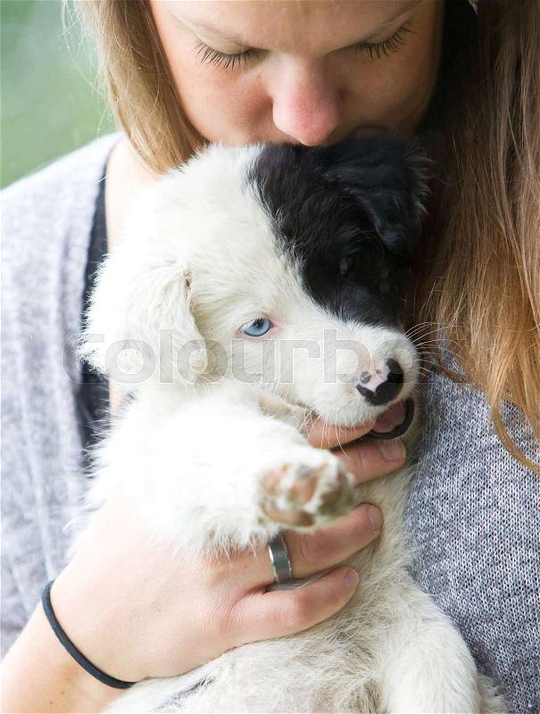 Small Border Collie puppy with blue eye in the arms of a woman, rain background, stock photo