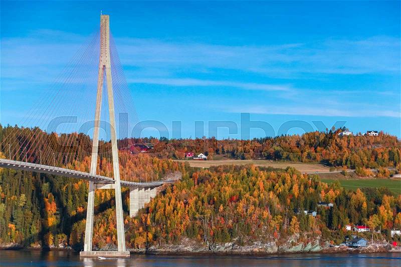 Modern cable-stayed bridge in Norway, Skarnsund Bridge, stock photo