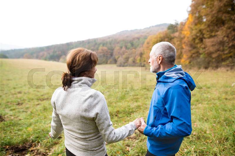 Beautiful active senior runners resting outside in sunny autumn nature, holding hands, stock photo