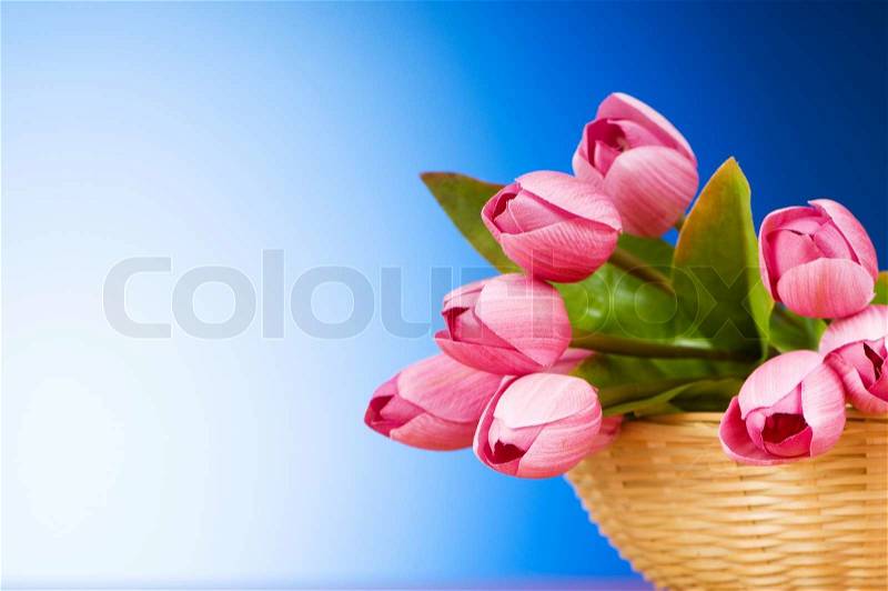 Bunch of tulip flowers on the table, stock photo