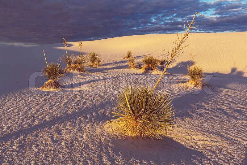 Unusual White Sand Dunes at White Sands National Monument, New Mexico, USA, stock photo