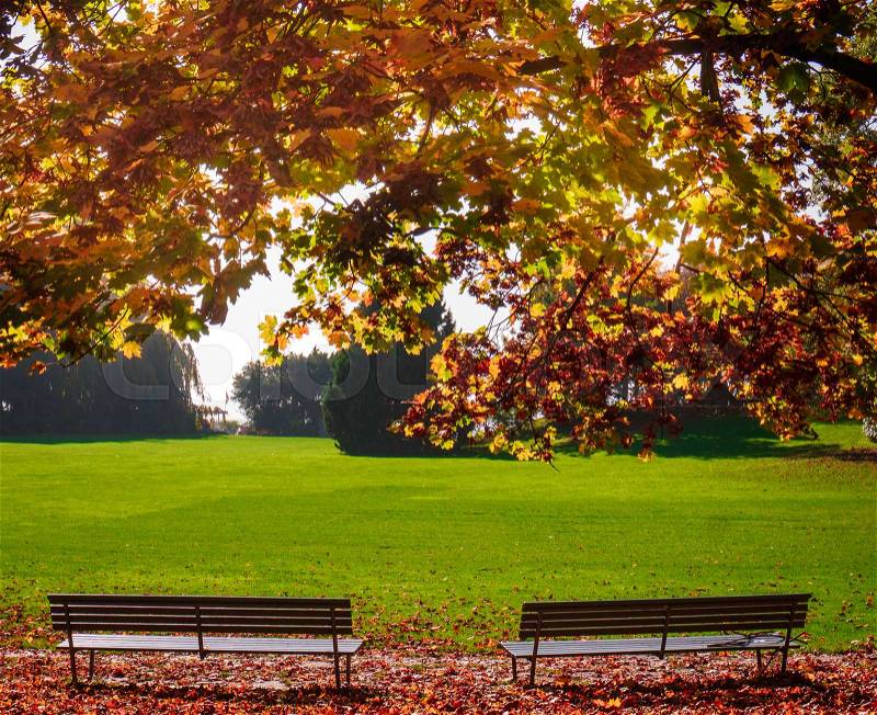 Beautiful autumn in city park. Autumn scene, stock photo