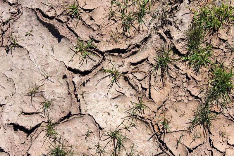 Close up view of the dry cracked earth dirt and clay during a dry period, stock photo